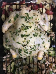 Chicken preroast