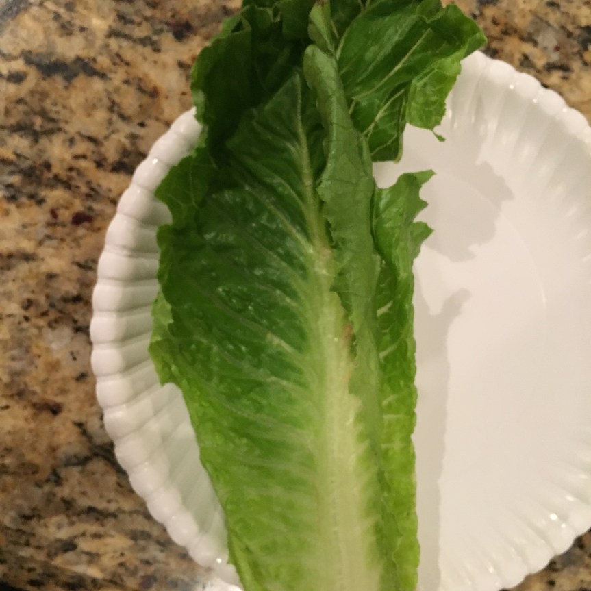 romaine leaves